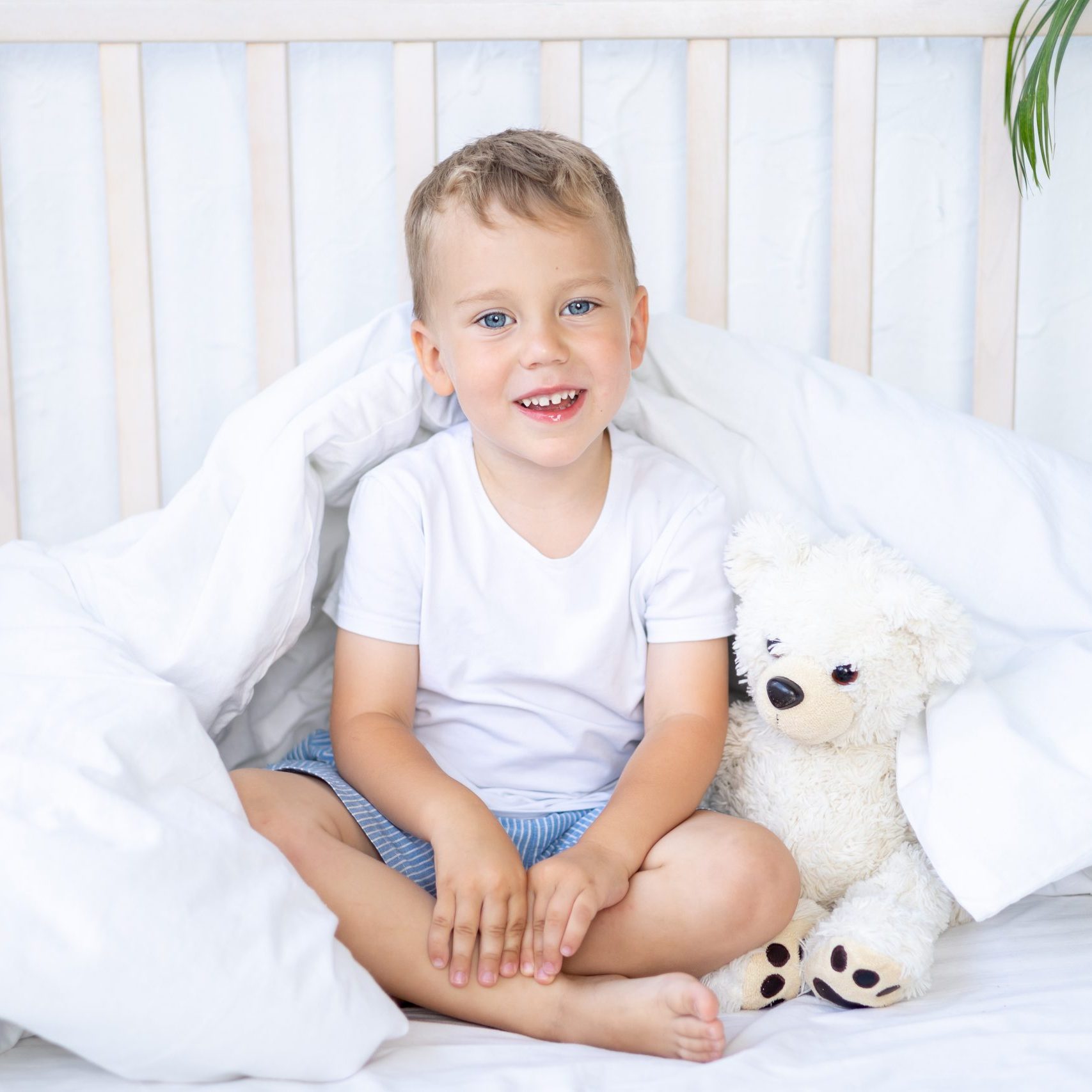 a small child boy lies in a crib with a teddy bear on white bed linen, a child's dream, smiles, looks at the camera